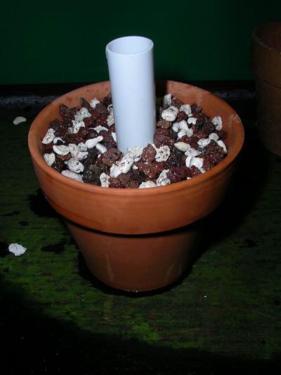 Blumentopffilter 2 Blumentopffilter 2